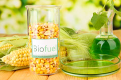 Headbourne Worthy biofuel availability